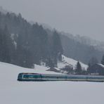 Allgäu-Express (29)