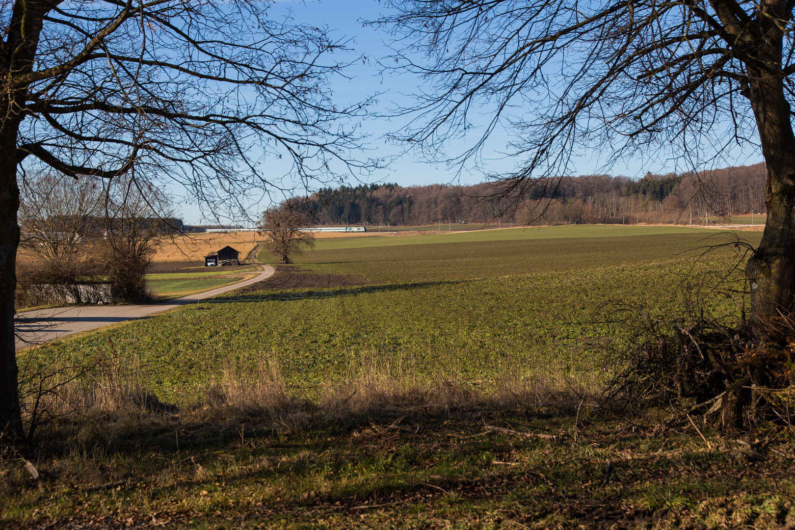 Allgäu-Express (37)