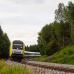 Allgäu-Express (4)