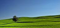 allgäu von lophoto