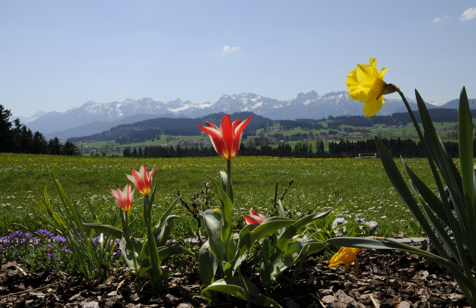 Allgäu Frühling