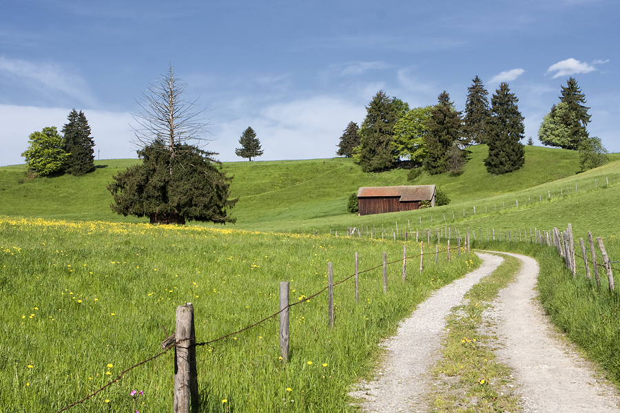 Allgäu - Frühling