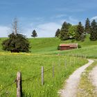 Allgäu - Frühling