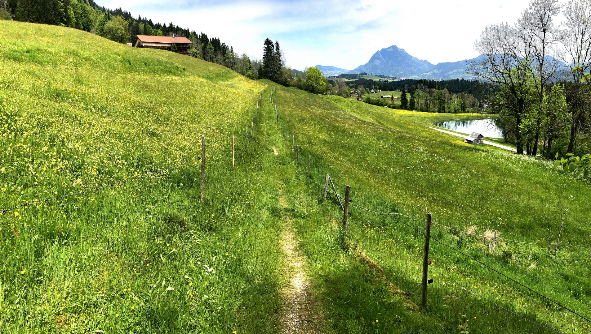 Allgäu halt