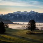 Allgäu, Hopferau