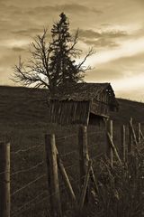 Allgäu Hütte