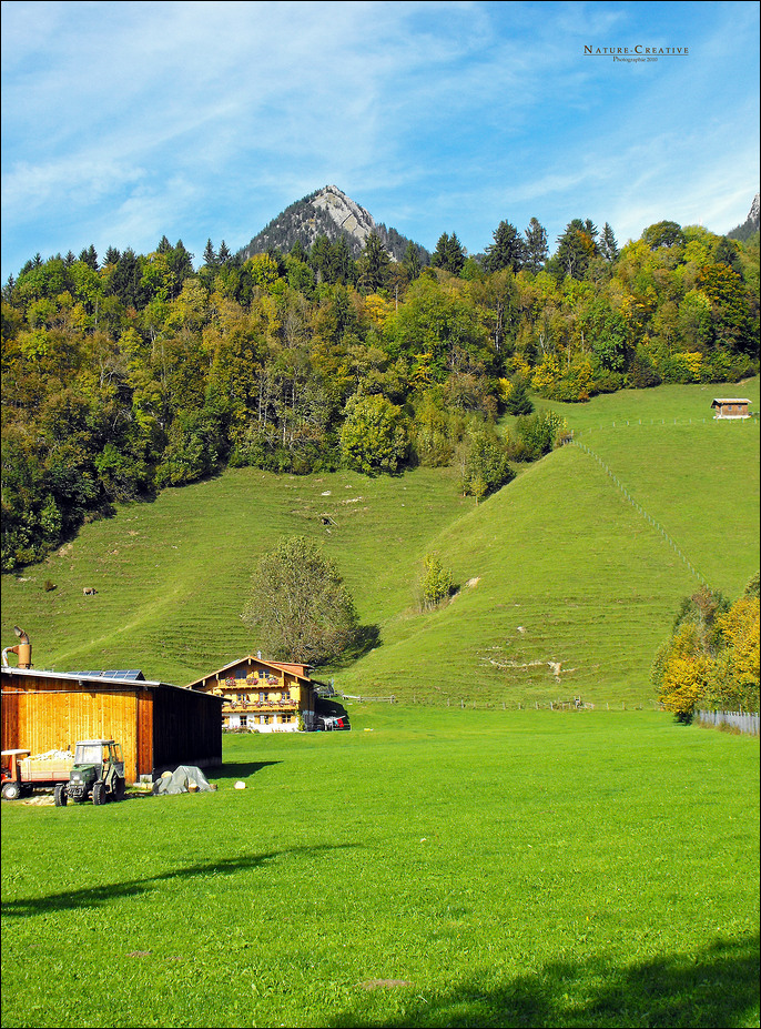 "Allgäu-Idylle 1"