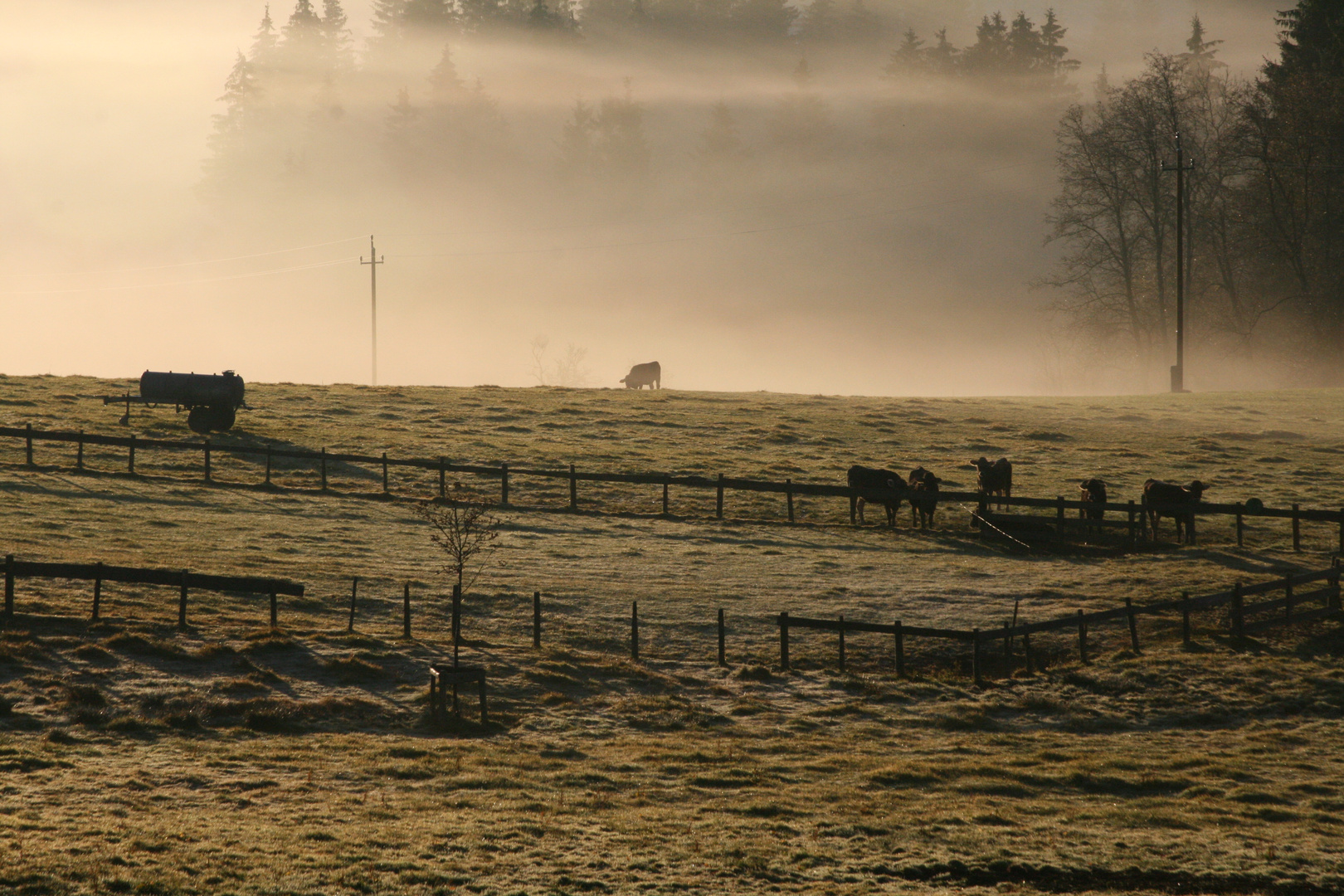 Allgäu Idylle 1