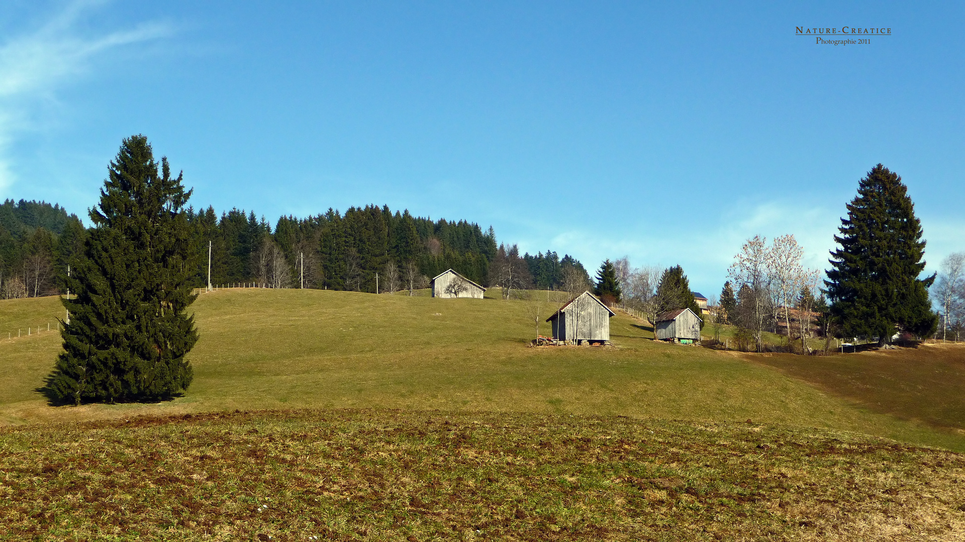 "Allgäu-Idylle 1* bei Sonthofen"