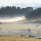 Allgäu Idylle 2