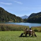 Allgäu Idylle