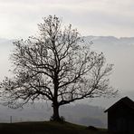 "Allgäu-Idylle 7* bei Sonthofen"