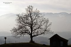 "Allgäu-Idylle 7* bei Sonthofen"