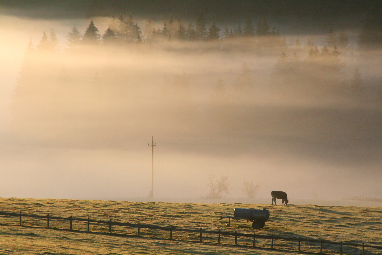 Allgäu Idylle