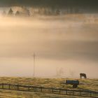 Allgäu Idylle