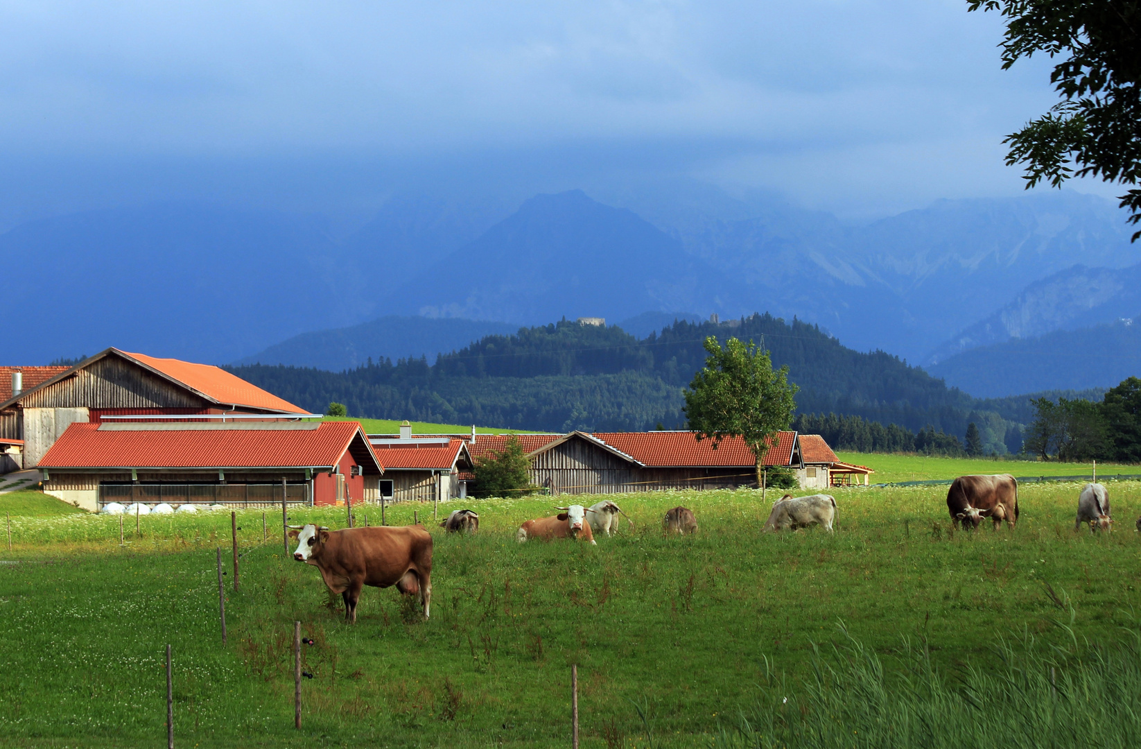 Allgäu - Idylle