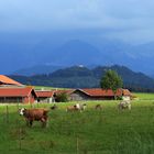 Allgäu - Idylle