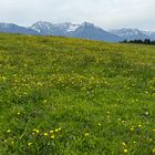 Allgäu im Frühling