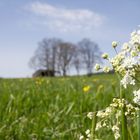 Allgäu im Frühling