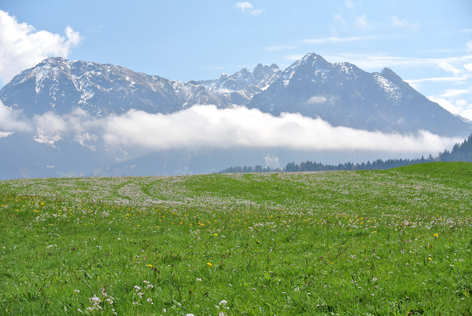 Allgäu im Frühling