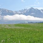 Allgäu im Frühling