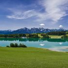 Allgäu im Frühsommer - Natur pur!