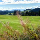 Allgäu im Herbst