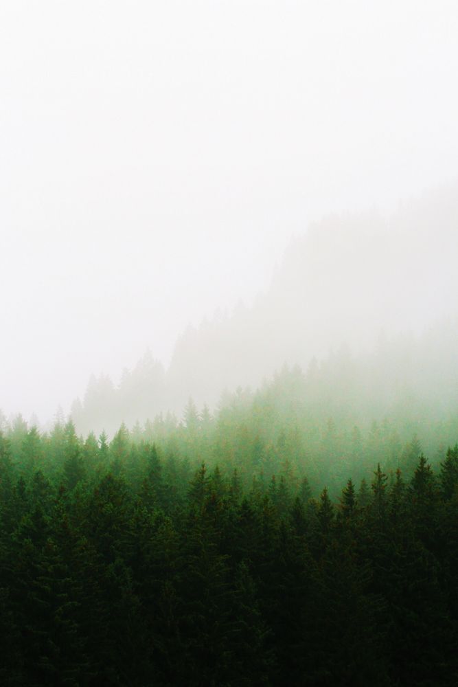 Allgäu im Nebel.