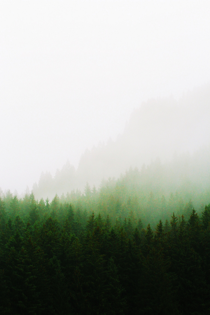 Allgäu im Nebel.