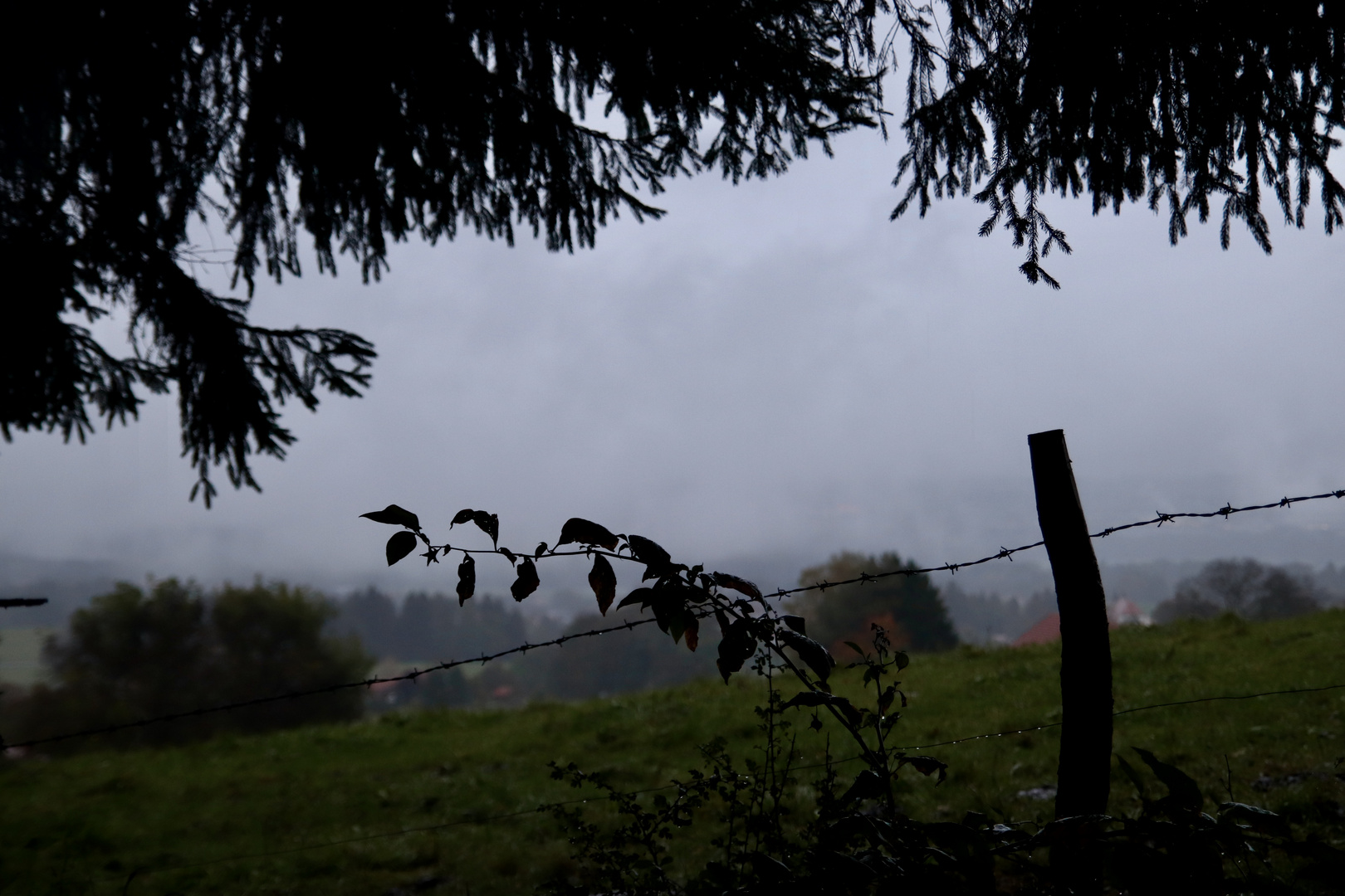 Allgäu im Nebel