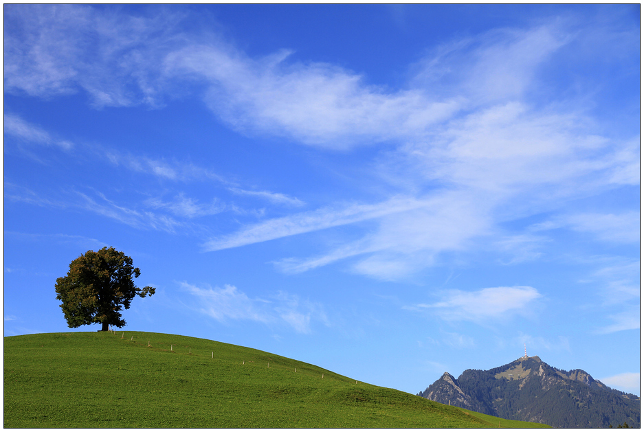 Allgäu-Impression