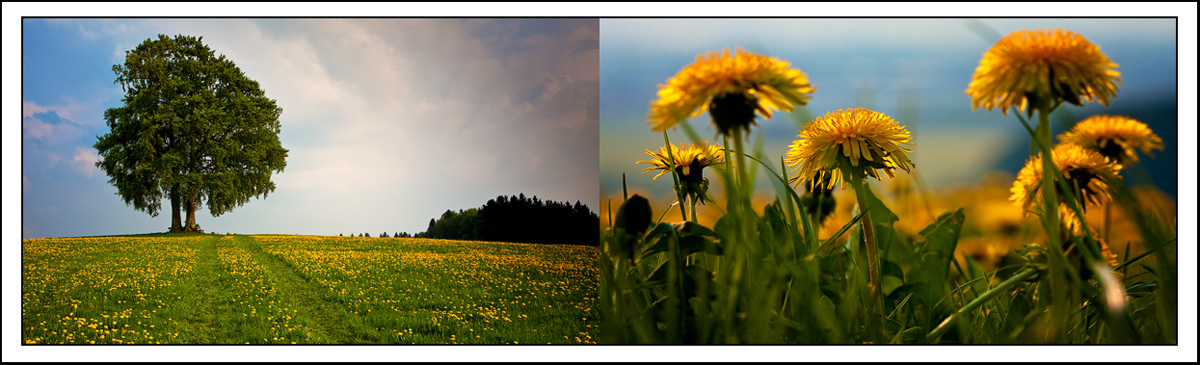 ALLGÄU IST SCHÖN !