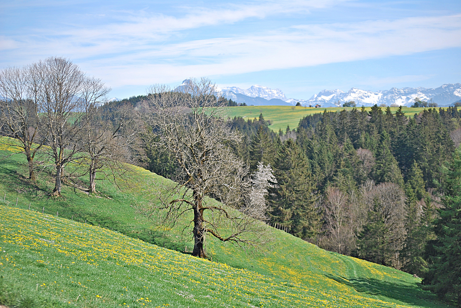 Allgäu-Kulisse ...