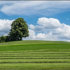 Allgäu Landschaft