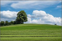 Allgäu Landschaft