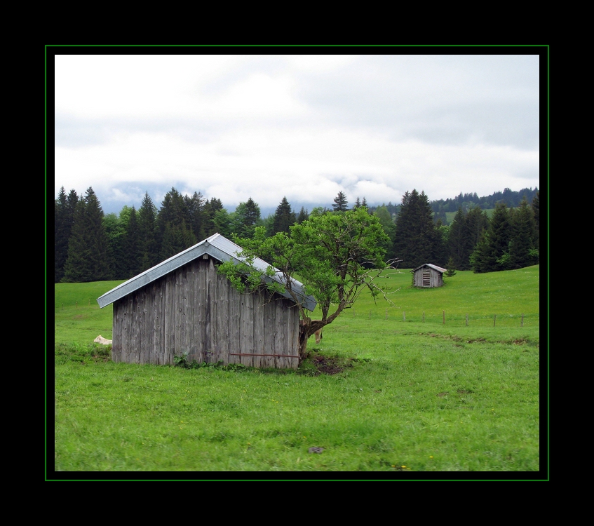 Allgäu Morgen