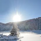 Allgäu Nebel ---