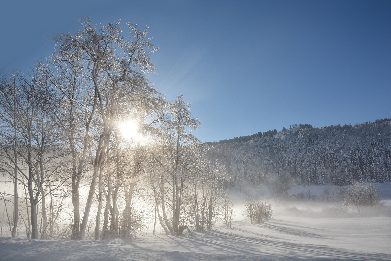 Allgäu Nebel ...