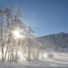 Allgäu Nebel ...