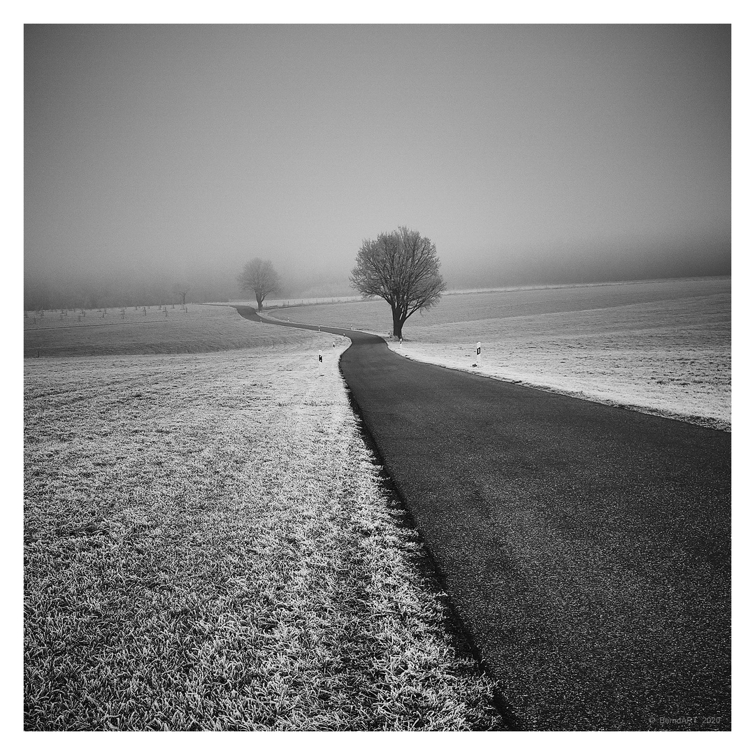 Allgäu Nebel