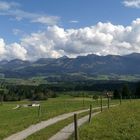 Allgäu  Ofterschwang "Blick auf die Allgäuer Berge"