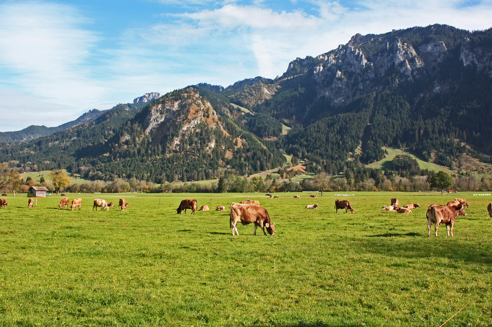 Allgäu-Panorama