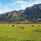 Allgäu-Panorama