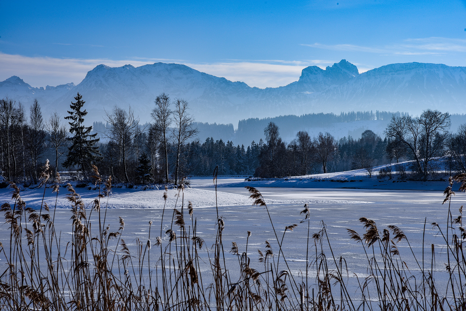 Allgäu pur