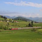 Allgäu pur