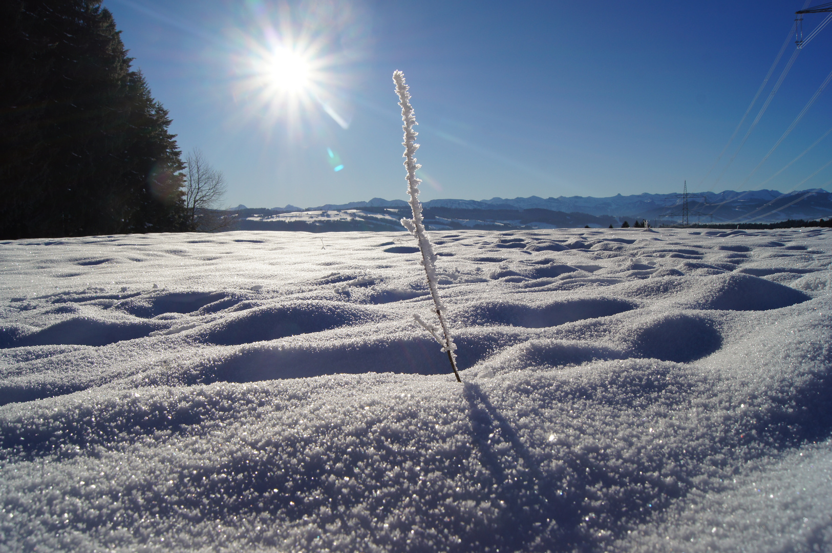 Allgäu Scheidegg