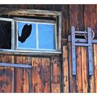 Allgäu: Scheunenfenster mit Himmel