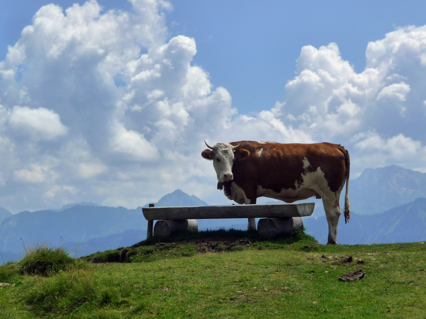 Allgaeu_ Schöner Ausblick