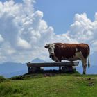 Allgaeu_ Schöner Ausblick