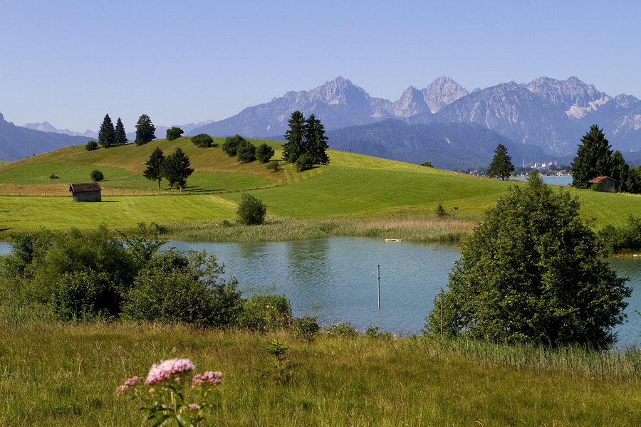 Allgäu-Sommer